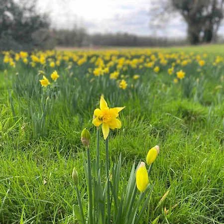 L'éco-domaine Du Chalonge Affittacamere Héric