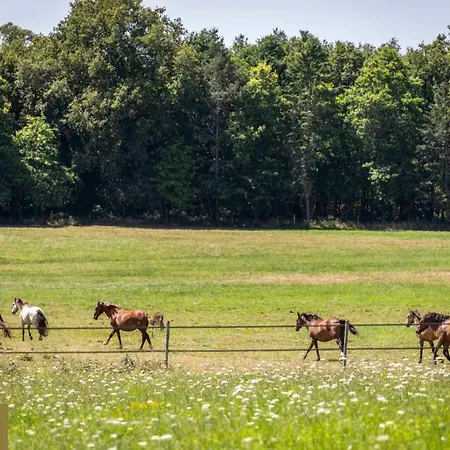 L'eco-domaine Du Chalonge Héric